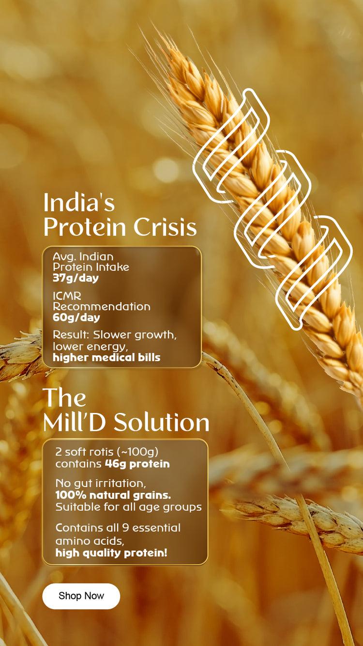MillD Atta with High Protein Content - 4X Protein in Every Roti – Milld ...
