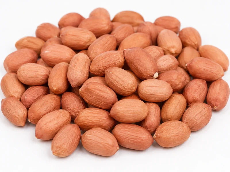 Peanut protein fraction for nutritious high protein wheat atta